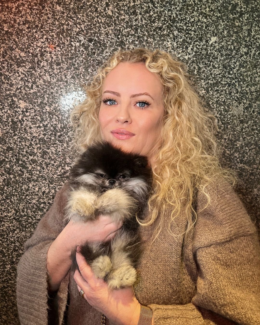 Pomeranian Puppies for Sale in New York