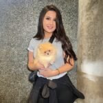 How much do Pomeranian puppies cost in Ohio?