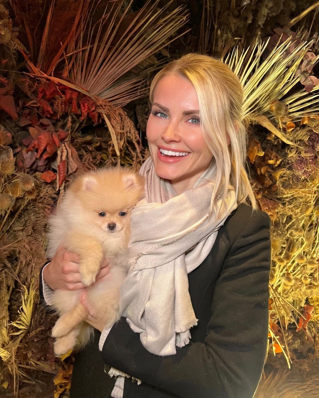 Where can I find the best Pomeranian puppies for sale in Hawaii