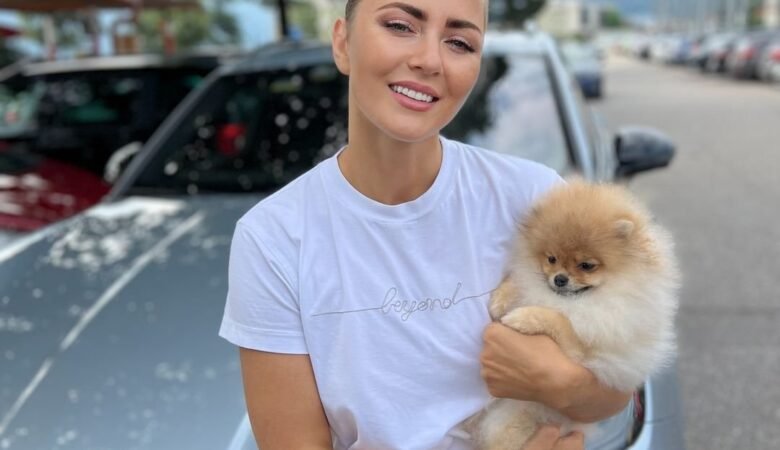 Where to Buy Pomeranian Puppies for Sale in Maine: Top 5 Locations