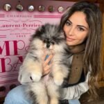 Where can I find Pomeranian puppies for sale in Missouri