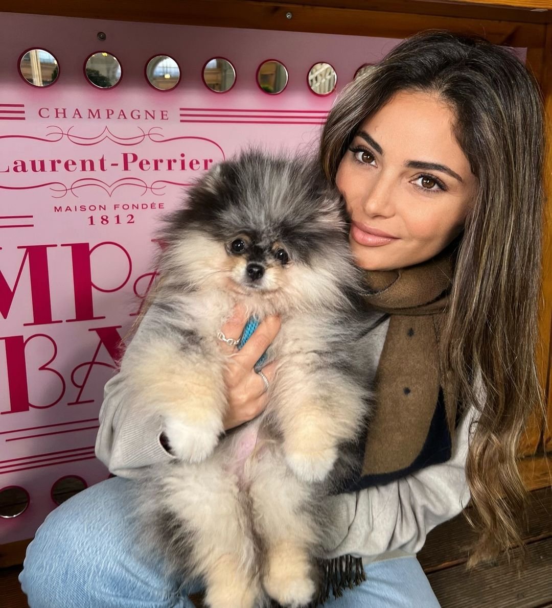 Pomeranian Puppies for Sale in Arizona
