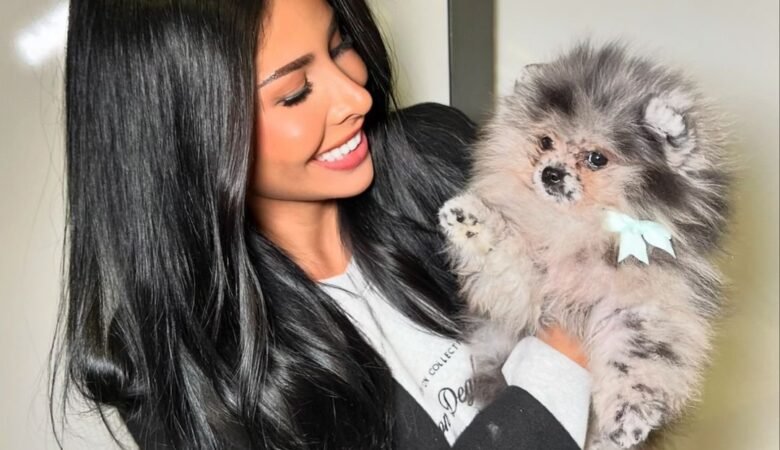 Teacup Pomeranian Puppies for Sale in Iowa: Top 6 Locations