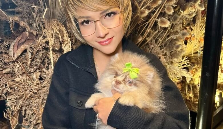 Teacup Pomeranian Puppies for Sale in Utah: Top 4 Spots Today