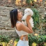 What should I consider when buying a Miniature Pomeranian puppy in Ohio