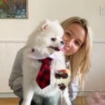 What should I look for when purchasing a Teacup Pomeranian in New Jersey