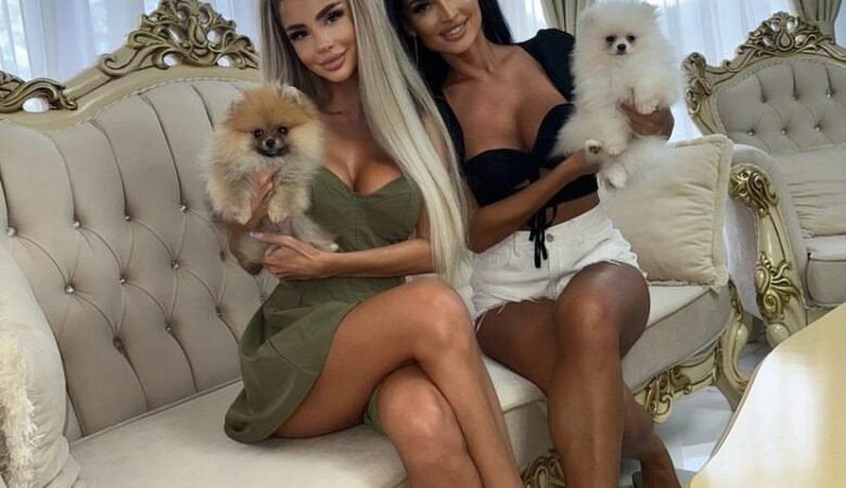 Teacup Pomeranian White for Sale in Utah: Top 5 Locations