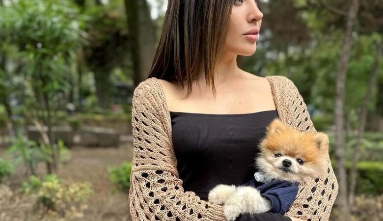 Eskimo Pomeranian Puppies for Sale: Everything You Need to Know Before Buying