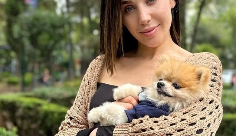 Find Miniature Pomeranian Puppies for Sale in Missouri: Top 4 Locations