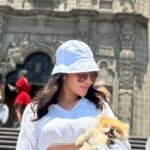 What should I consider when buying a Miniature Pomeranian puppy in Missouri?