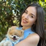What should I consider when buying a Miniature Pomeranian puppy in Maine?