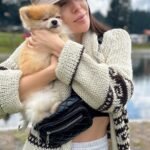 What should I consider when buying a Miniature Pomeranian puppy in Maryland?