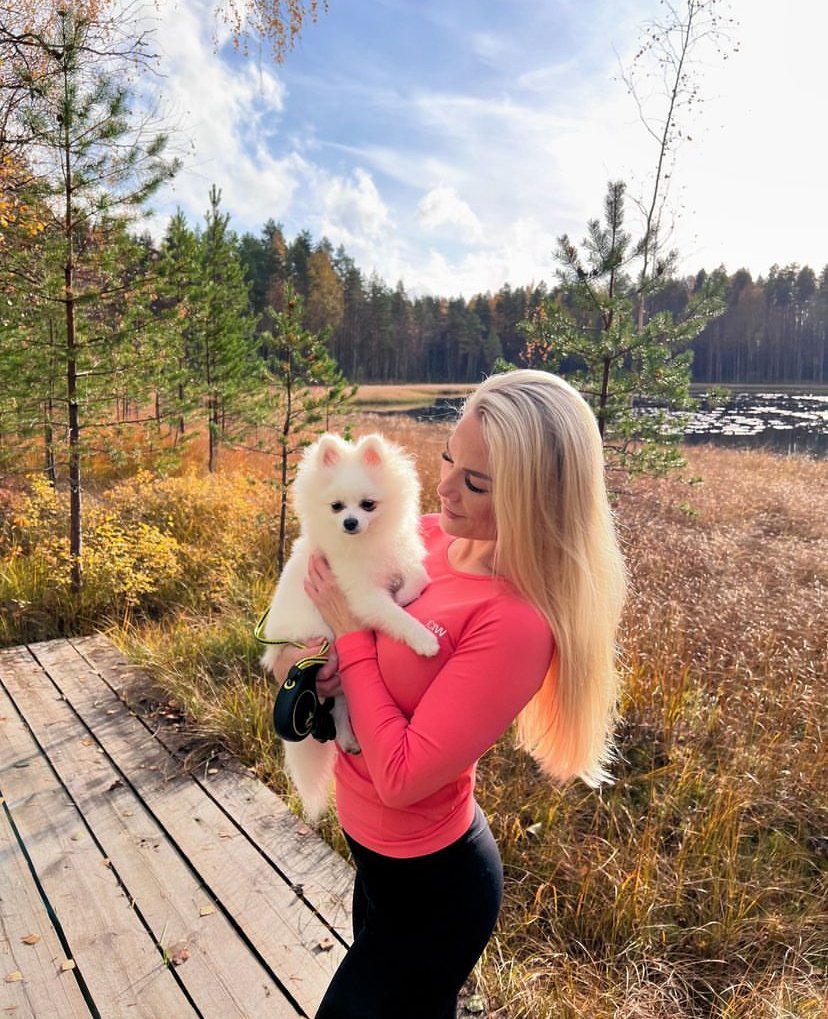 Blue Pomeranian