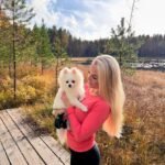 What should I consider when buying a Miniature Pomeranian puppy in Michigan?