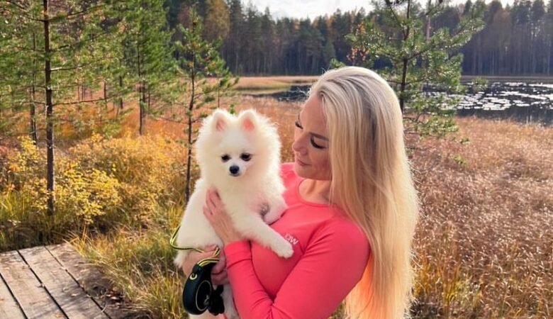 Pomchi Puppy for Sale: Your Guide to Finding the Perfect Pomchi