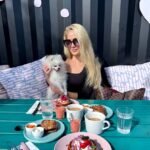 What should I consider when buying a Miniature Pomeranian puppy in Massachusetts?