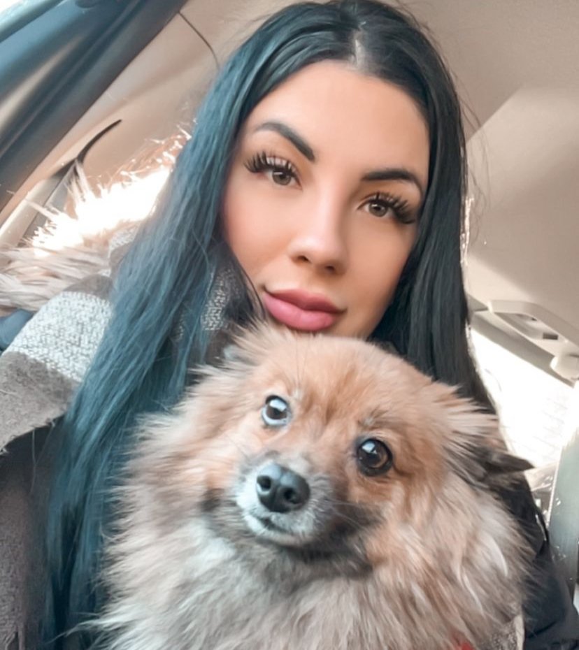 What should I consider when buying a Miniature Pomeranian puppy in Minnesota?