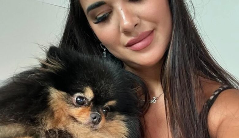Pomeranian Puppies Las Vegas: Finding Your Perfect Pup in the Entertainment Capital