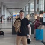 What should I consider when buying a Miniature Pomeranian puppy in New Mexico?