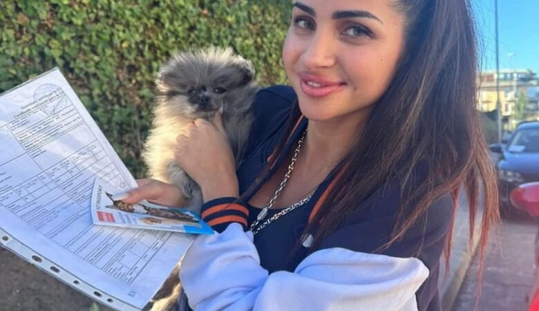 Find Miniature Pomeranian Puppies for Sale in New York: Top 3 Locations