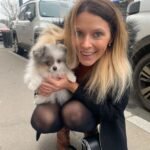 What should I consider when buying a Miniature Pomeranian puppy in New York?