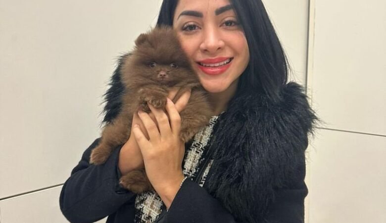 Find Miniature Pomeranian Puppies for Sale in New Jersey: Top 4 Locations