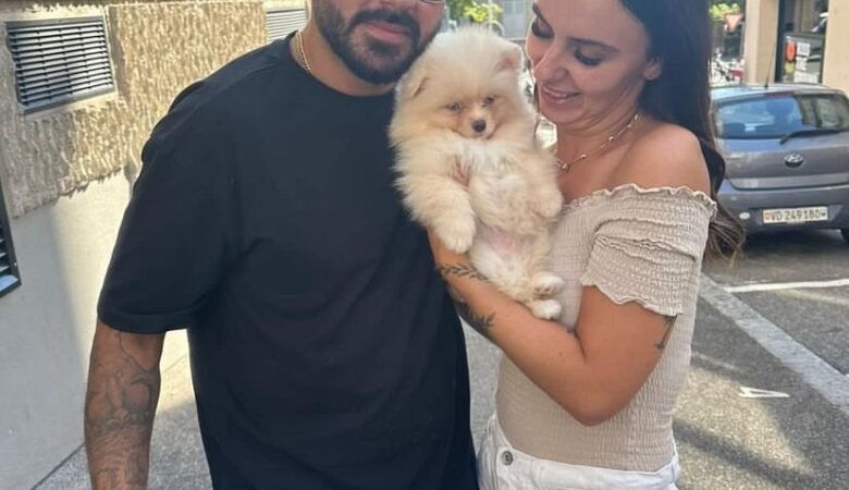 Find Miniature Pomeranian Puppies for Sale in Nebraska: Top 3 Locations