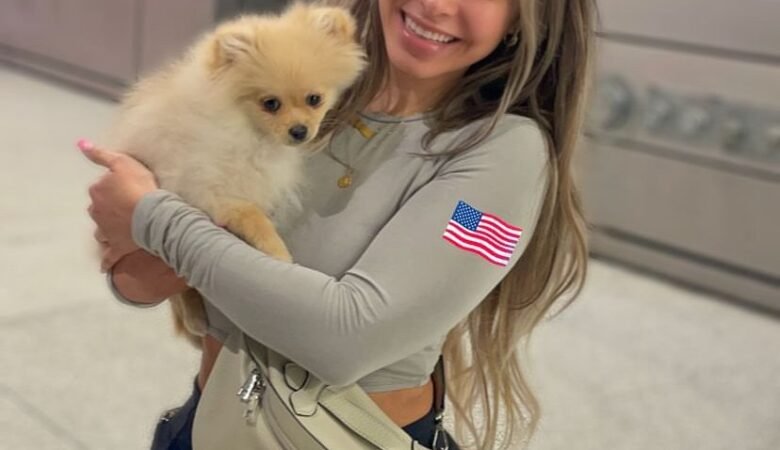 Teacup Pomeranian Puppies for Sale in Alabama: Top 3 Locations