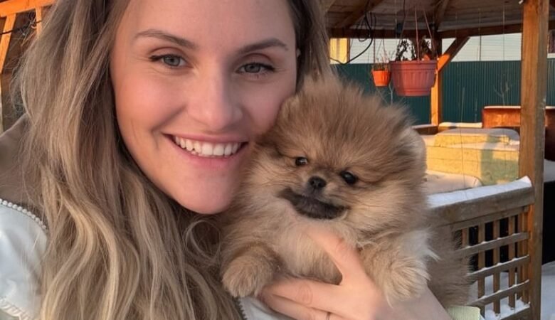 Teacup Pomeranian Puppies for Sale in Florida: Top 3 Spots