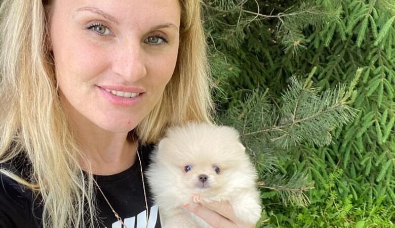 Pomeranian Eskimo Puppies for Sale: Top 5 Locations