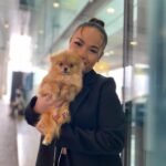 What should I consider before adopting a Pomeranian puppy from a rescue in Florida?
