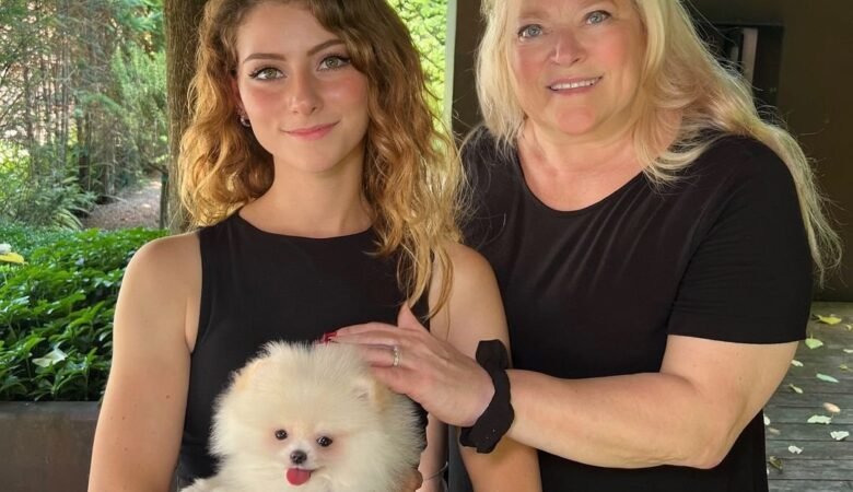 Find Miniature Pomeranian Puppies for Sale in Idaho: Top 4 Locations