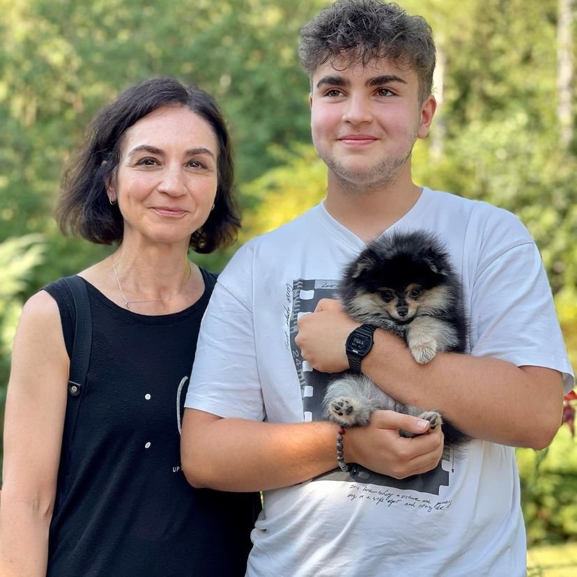 Miniature Pomeranian Puppies for Sale in Tennessee