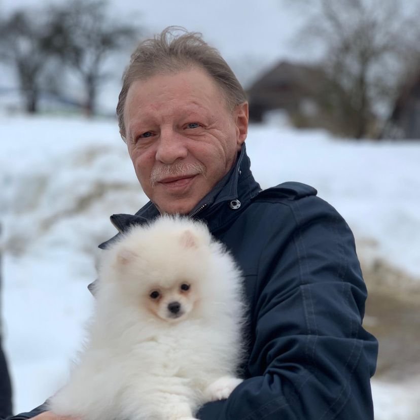 Miniature Pomeranian Puppies for Sale in Kansas