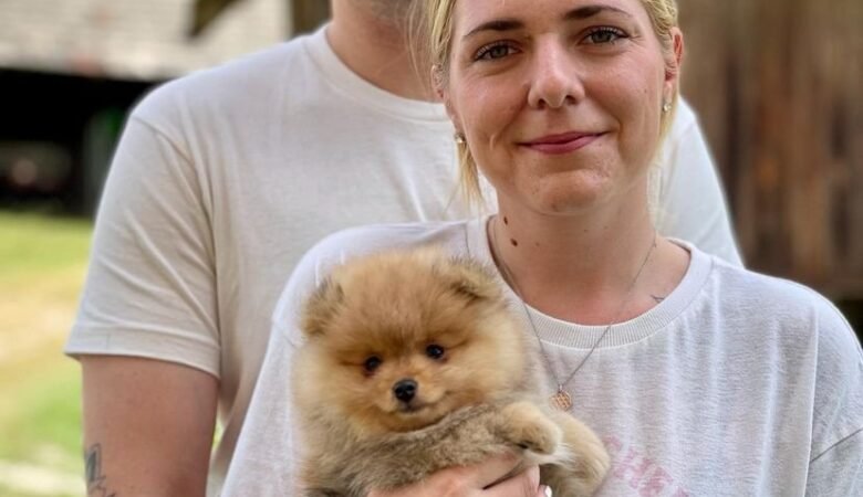 Teacup Pomeranian Puppies for Sale in Idaho: Top 5 Locations