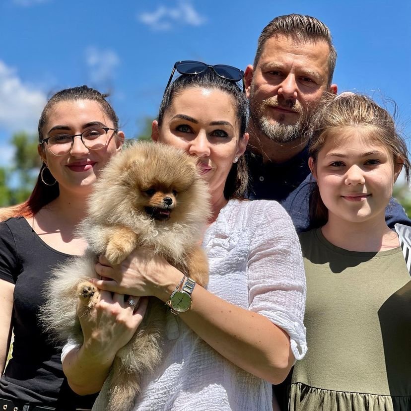 Teacup Pomeranian Puppies for Sale in Wyoming