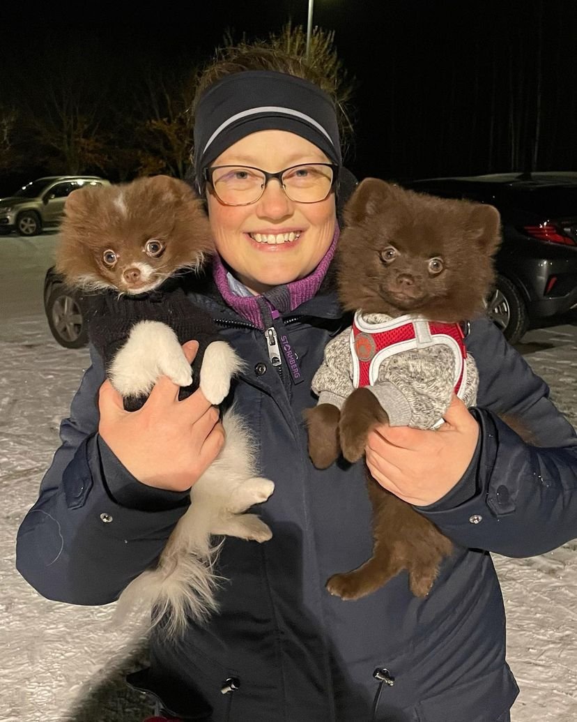 How much do Teacup Pomeranian puppies cost in Maryland