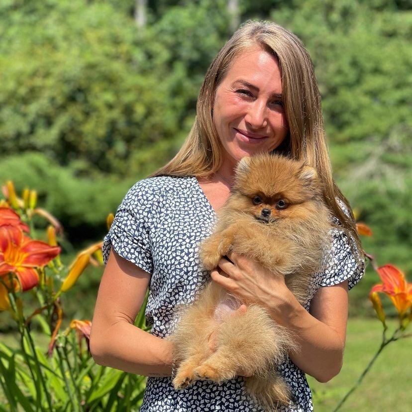 Miniature Pomeranian Puppies for Sale in Indiana