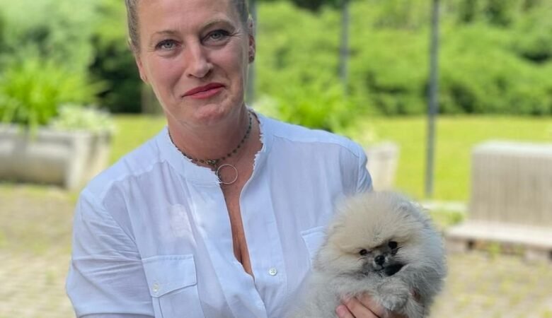 Where to Buy Pomeranian Puppies for Sale in Wyoming: Top 4 Locations