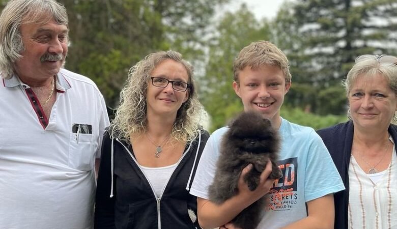 Teacup Pomeranian Puppies for Sale in Illinois: Top 3 Locations