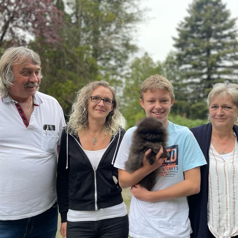Teacup Pomeranian Puppies for Sale in Illinois