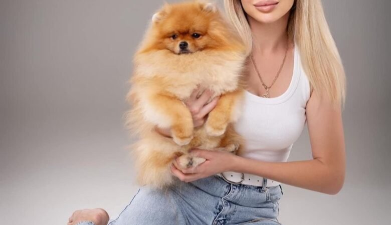 Pomeranian Puppies for Sale San Antonio