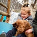 What should I look for when buying a Goldendoodle from a breeder in North Yorkshire?